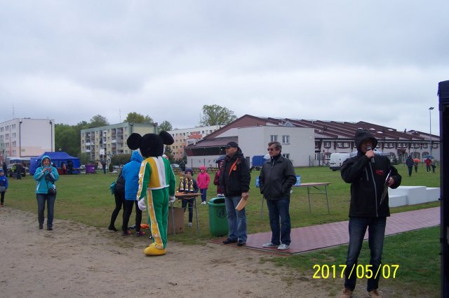 wstane 43